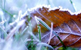 protect your firs safety equipment
